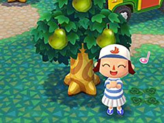 ���������꡼ No.019�Υ���ͥ������ / 4Gamer��1���֤򿶤��֤��Weekly 4Gamer��2017ǯ11��11����11��17��