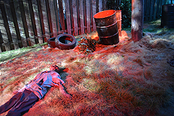 ���������꡼ No.017�Υ���ͥ������ / 4Gamer��1���֤򿶤��֤��Weekly 4Gamer��2017ǯ12��9����12��15��