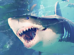 画像ギャラリー No.011のサムネイル画像 / 4Gamerの1週間を振り返る「Weekly 4Gamer」2018年7月14日〜7月20日。プレゼントは「文アル」オーケストラコンサートのチケットなど