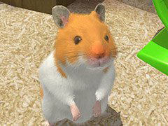 ²èÁü¥®¥ã¥é¥ê¡¼ No.008¤Î¥µ¥à¥Í¥¤¥ë²èÁü / 4Gamer¤Î1½µ´Ö¤ò¿¶¤êÊÖ¤ë¡ÖWeekly 4Gamer¡×2019ǯ2·î16Æü¡Á2·î22Æü¡£¥×¥ì¥¼¥ó¥È¤Ï¡Ö¼ü¤ï¤ì¤Î¥Ñ¥ë¥Þ Refrain¡×¥Ü¥¯¥µ¡¼¥Ñ¥ó¥Ä¤Ê¤É