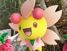 ���������꡼ No.013�Υ���ͥ������ / 4Gamer��1���֤򿶤��֤��Weekly 4Gamer��2019ǯ5��18����5��24�����ץ쥼��Ȥ�PS4�ǡ֥ܡ������֥쥤���פΥ���ȥ���1��CD