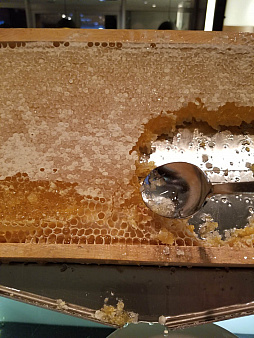 ���������꡼ No.026�Υ���ͥ������ / 4Gamer��1���֤򿶤��֤��Weekly 4Gamer��2019ǯ8��25����8��31��