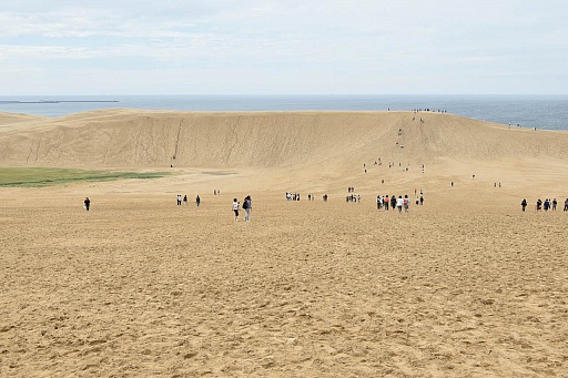 ꡼ No.023Υͥ / 4Gamer1֤򿶤֤Weekly 4Gamer2019ǯ930105