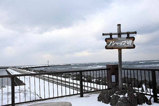 ���������꡼ No.023�Υ���ͥ������ / 4Gamer��1���֤򿶤��֤��Weekly 4Gamer��2020ǯ2��2����2��8��