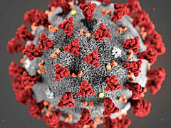 ���������꡼ No.018�Υ���ͥ������ / 4Gamer��1���֤򿶤��֤��Weekly 4Gamer��2020ǯ3��22����3��28��