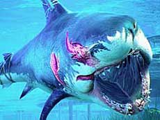 画像ギャラリー No.010のサムネイル画像 / 4Gamerの1週間を振り返る「Weekly 4Gamer」,2020年5月24日〜5月30日