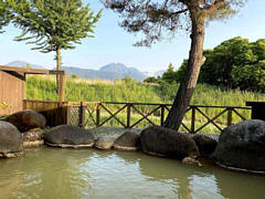 ���������꡼ No.012�Υ���ͥ������ / 4Gamer��1���֤򿶤��֤��Weekly 4Gamer�ס�2020ǯ5��31����6��6��