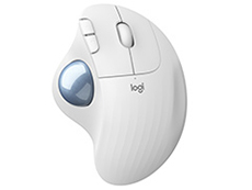 画像ギャラリー No.157のサムネイル画像 / 4Gamerの1年を振り返る「Annual 4Gamer 2020」。最も読まれた記事は新世代機の……ではなく,人気爆発・宇宙人狼「Among Us」ガイド