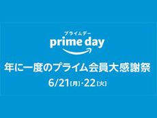 ���������꡼ No.007�Υ���ͥ������ / 4Gamer��1���֤򿶤��֤��Weekly 4Gamer�ס�2021ǯ6��20����6��26��
