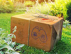 ���������꡼ No.005�Υ���ͥ������ / 4Gamer��1���֤򿶤��֤��Weekly 4Gamer�ס�2021ǯ6��27����7��3��