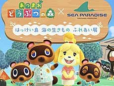 ²èÁü¥®¥ã¥é¥ê¡¼ No.008¤Î¥µ¥à¥Í¥¤¥ë²èÁü / 4Gamer¤Î1½µ´Ö¤ò¿¶¤êÊÖ¤ë¡ÖWeekly 4Gamer¡×¡¤2021ǯ7·î4Æü¡Á7·î10Æü