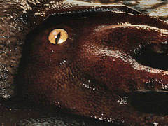 ���������꡼ No.014�Υ���ͥ������ / 4Gamer��1���֤򿶤��֤��Weekly 4Gamer�ס�2021ǯ9��26����10��2��