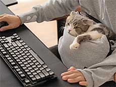 画像ギャラリー No.002のサムネイル画像 / 4Gamerの1週間を振り返る「Weekly 4Gamer」,2021年11月21日〜11月27日