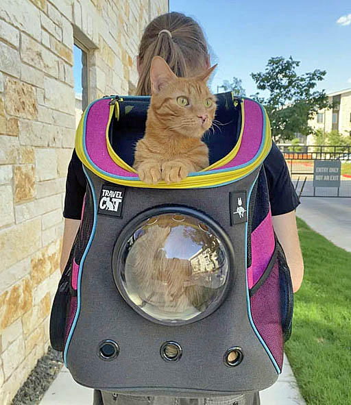 画像ギャラリー No.026のサムネイル画像 / 4Gamerの1週間を振り返る「Weekly 4Gamer」,2022年8月7日〜8月13日