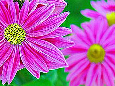 画像ギャラリー No.002のサムネイル画像 / 4Gamerの1週間を振り返る「Weekly 4Gamer」,2022年8月21日〜8月27日