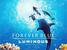 画像ギャラリー No.020のサムネイル画像 / 4Gamerの1週間を振り返る「Weekly 4Gamer」,2024年4月29日〜5月5日