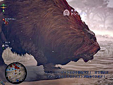 ²èÁü¥®¥ã¥é¥ê¡¼ No.004¤Î¥µ¥à¥Í¥¤¥ë²èÁü / 4Gamer¤Î1½µ´Ö¤ò¿¶¤êÊÖ¤ë¡ÖWeekly 4Gamer¡×¡¤2024ǯ11·î11Æü¡Á11·î17Æü