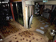 ���������꡼ No.008�Υ���ͥ������ / 4Gamer��1���֤򿶤��֤��Weekly 4Gamer�ס�2025ǯ8��11����8��17��