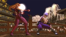 画像集#002のサムネイル/「DOA ONLINE」の台湾独占運営サービスはガマニアに決定