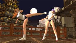 画像集#003のサムネイル/「DOA ONLINE」の台湾独占運営サービスはガマニアに決定