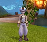 画像集#014のサムネイル/魅力的な独自要素と日本展開,「Perfect World」に続くカジュアルファンタジーMMORPG「夢世界−武林外伝−」インタビュー