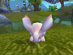 画像集#043のサムネイル/魅力的な独自要素と日本展開,「Perfect World」に続くカジュアルファンタジーMMORPG「夢世界−武林外伝−」インタビュー