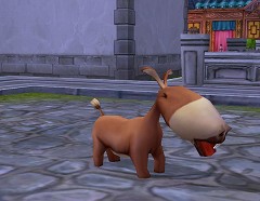 ������#007�Υ���ͥ���/���ڥåȡ������ƥ��о졣��̴�����ס����åץǡ���ver.2.0����������