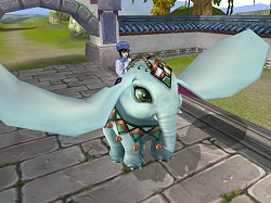 ������#016�Υ���ͥ���/���������Ȥǥ����ƥ�򽸤�褦��̴�����ס����åץǡ���Ver12.0�������»�