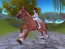 ꡼ No.017 | ˤϿɲá饤ؤˤäͥؤɤڤ̴ץץǥ塼󥿥ӥ塼