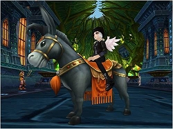 ���������꡼ No.005�Υ���ͥ������ / ���åץǡ��������Ρ�̴�����ס���̴��10�祭���ڡ���ɼ»�