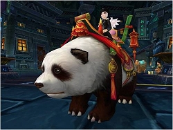 ���������꡼ No.006�Υ���ͥ������ / ���åץǡ��������Ρ�̴�����ס���̴��10�祭���ڡ���ɼ»�