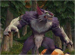 ���������꡼ No.003�Υ���ͥ������ / ��̴���� -���ӳ���-�ס�11��11���˼���ͽ��Υ��åץǡ��ȡ���²���� ���������ȿ����λ�ã�����ߥ����ȥ����ץ�