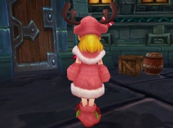 ���������꡼ No.006�Υ���ͥ������ / ��̴�����ס��ȥʥ������ο�����ڥåȤ俷�ե��å����ʤɤ��о�