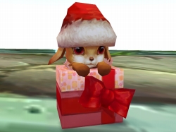 ���������꡼ No.020�Υ���ͥ������ / ��̴�����ס��ȥʥ������ο�����ڥåȤ俷�ե��å����ʤɤ��о�