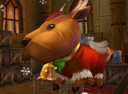 ���������꡼ No.023�Υ���ͥ������ / ��̴�����ס��ȥʥ������ο�����ڥåȤ俷�ե��å����ʤɤ��о�