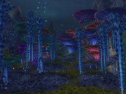 ���������꡼ No.007�Υ���ͥ������ / ��̴�����ס����åץǡ��ȡȳ�ε²���ú��Ρɤ����ߥ����Ȥǿ����Ǥ��ǧ���褦