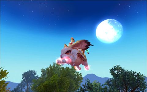 ꡼ No.003 | ̴ ץ饹ס2;ΤǤڥåȤ䡤Хʤɤо