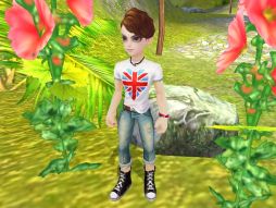 ꡼ No.006 | ̴ ץ饹5ΰɲáڥåȤBOXȯ