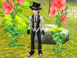 ꡼ No.008 | ̴ ץ饹5ΰɲáڥåȤBOXȯ