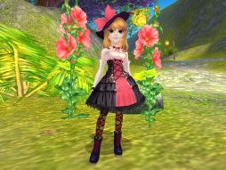 ꡼ No.010 | ̴ ץ饹5ΰɲáڥåȤBOXȯ