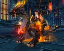 ꡼ No.013 | ̴ ץ饹5ΰɲáڥåȤBOXȯ