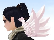 ꡼ No.006 | ̴10οȼǰ5ĤΥڡ󤬥ȡǯ緿åץǡȤо줹뿷ޥåפʤɤҲ𤹤ࡼӡ