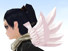 ꡼ No.008 | ̴ ץ饹緿åץǡȡޤ²פ»ܡ²οȡֵƻաסֽƷפ䡤ƥðѡפʤɤ