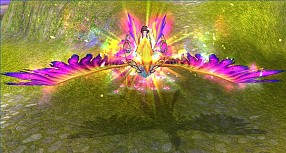 ꡼ No.006 | ̴׿ʥեåĿͥ󥸥󤬳륢åץǡȤ»