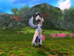 ���������꡼ No.015�Υ���ͥ������ / ��CHUSEN 2�ס����о�Ρ�̽���β߼֡פϺ���6�ͤǵ����ǽ