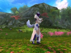 ���������꡼ No.016�Υ���ͥ������ / ��CHUSEN 2�ס����о�Ρ�̽���β߼֡פϺ���6�ͤǵ����ǽ