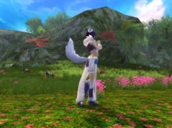 ���������꡼ No.017�Υ���ͥ������ / ��CHUSEN 2�ס����о�Ρ�̽���β߼֡פϺ���6�ͤǵ����ǽ