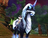 ���������꡼ No.016�Υ���ͥ������ / ��CHUSEN 2��SS����ƥ��Ȥʤɡ��ƤΥ����ڡ����å�������