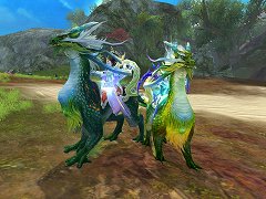 ���������꡼ No.004�Υ���ͥ������ / ��CHUSEN 2�ץե��Υ�����ե���������˶����ʤ�����Ƥ�����