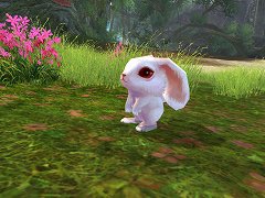 ���������꡼ No.005�Υ���ͥ������ / ��CHUSEN 2�ץե��Υ�����ե���������˶����ʤ�����Ƥ�����